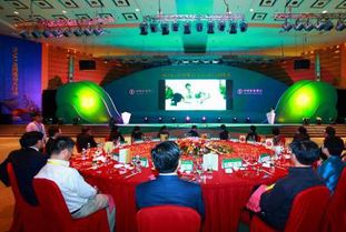 廣西專業(yè)婚慶策劃主持哪家好？非凡婚慶活動策劃全方位解析